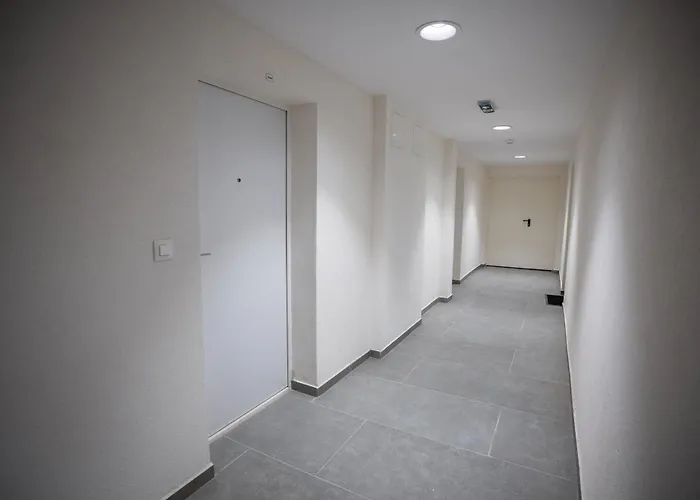 Apartman Hug And Fly