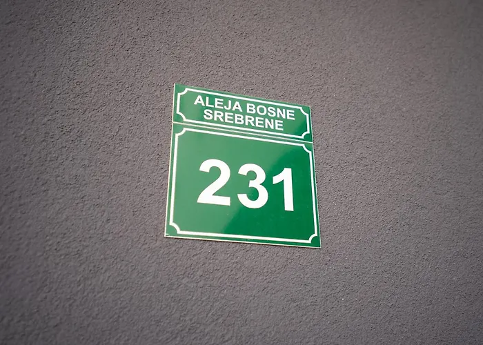 Hug And Fly 塞拉耶佛